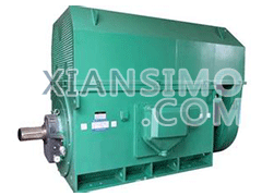 Y5604-8YXKK(2极)高效高压电机技术参数
