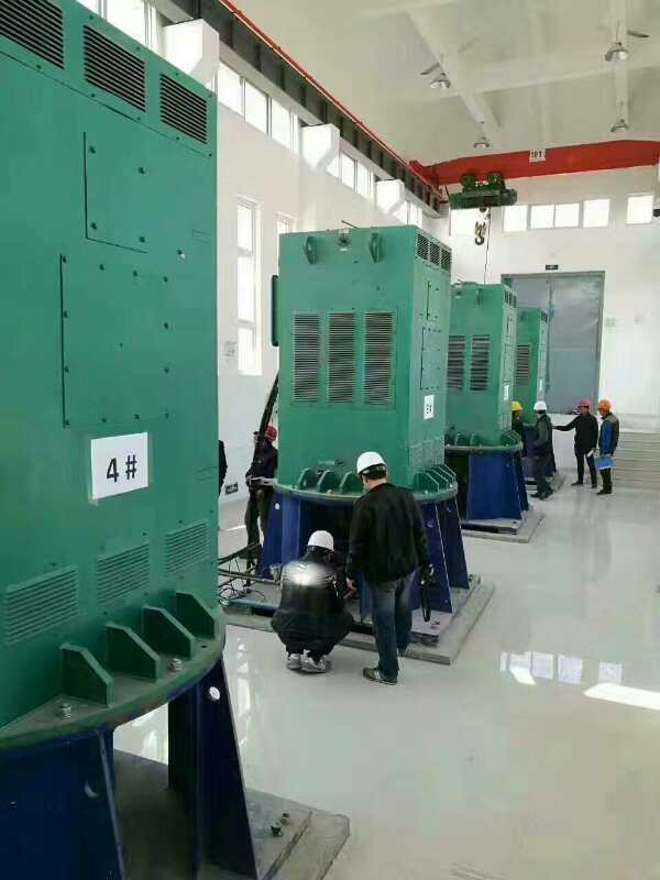 Y5604-8某污水处理厂使用我厂的立式高压电机安装现场