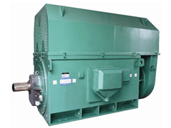 Y5604-8Y系列6KV高压电机